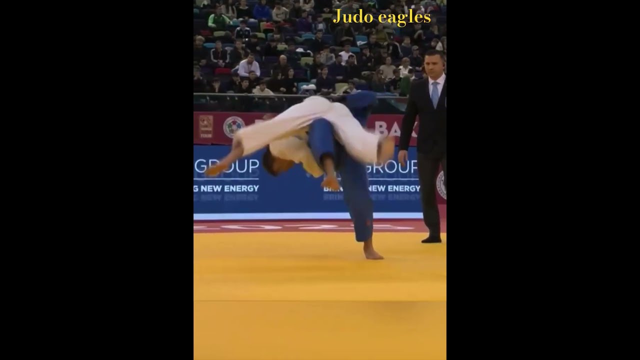 体验的呢