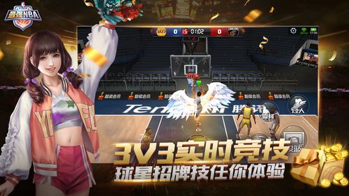 补充